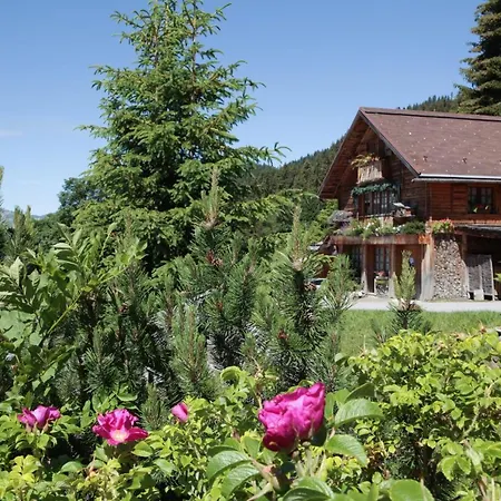 Hotel Les Chalets-hotel De La Croix-fry