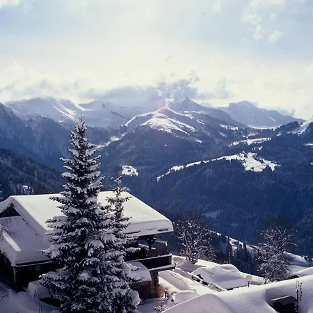 Les Chalets-hotel De La Croix-fry Hotel Manigod